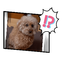 suzu_20230819161116