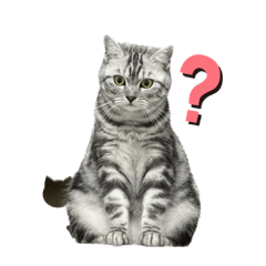 神奇的小麻糬長大了