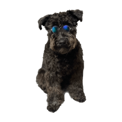 arisa_20230819192149