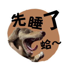 哇係布布：日常對話篇
