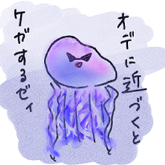 funny jellyfishes