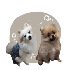 charu&puma's sticker