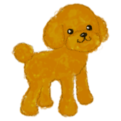 Toy Poodle Watercolor Sticker