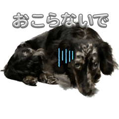 Nao_20230819184439