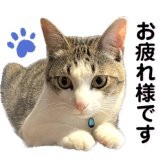 Aoi_20230819201058