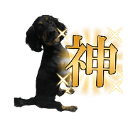 hokototo