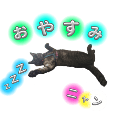 Suzu_20230820112426