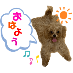 chisa_20230820140641