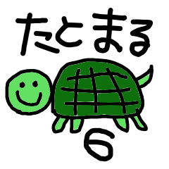 with turtle life6