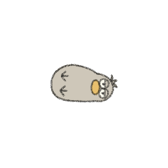 Chiccha sleepy shoebill