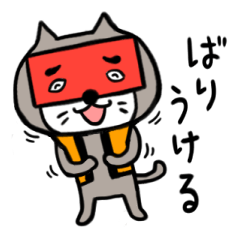 Kyushu Hakata pretty cat