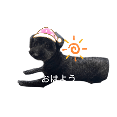 hana_20230819220019