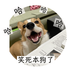 BiBi的表情包1