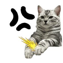 下凡當隻小麻糬2