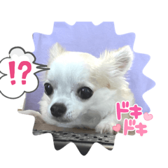 Sakura_20230820181115