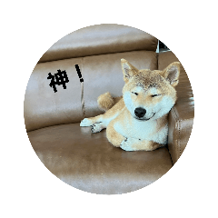 nao_20230820180147