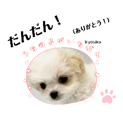 sakura_20230821031226