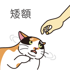 2023 LET'S DRAW_The life of a calico cat