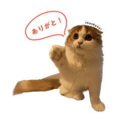 hana_20230820165855