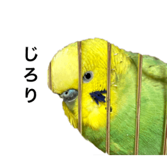 kana_20230820203513