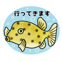 Boxfish stamp with human-like gestures