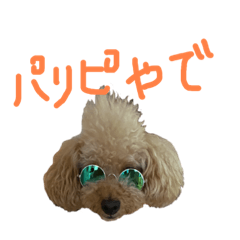 COCO'S DAILY LIFE-1