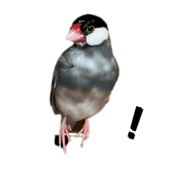 hoshina._20230821120002