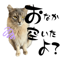 iamktwk521_20230821103155