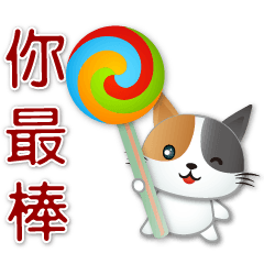 cute Calico cat-Daily Practical Phrases