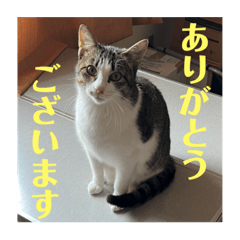 hiro02_20230821135751