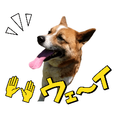 jinjin_20230821174807