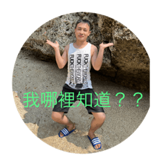 一個瘋子的故事
