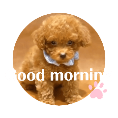 sakura_20230821191752