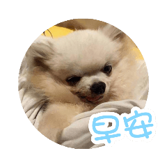 愛吃雞胸肉的小吉