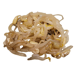Food Series : Some Mung Bean Sprout