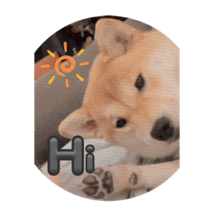 Yangledo