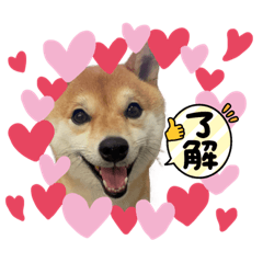 sunny_20230821225410