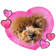 Sayuri_20230821231110