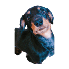 shelly_20230822001535