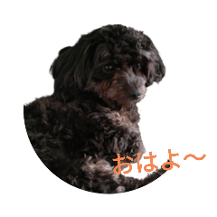 jinjin_20230822111454