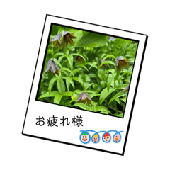 Nakastamp_20230822113821