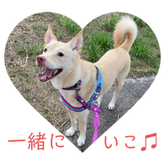 nanairo_20230822142612