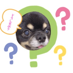 michiko_20230822153128
