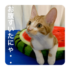 konatsu_20230822162411