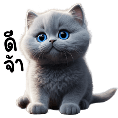 Grey Cat TuaTueng