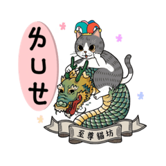 至尊貓坊cat