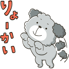 I am a toy poodle ! [gray]
