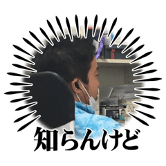 てびち猫