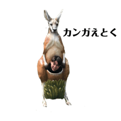 ロードランナーzoo  ①