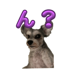 kzbox_20230822214524